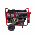 موتور برق جیانگ دانگ 8.5 کیلووات اتوماتیک تک فاز سه گانه سوز مدل JD8500THEB-LPG-NG