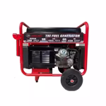 موتور برق جیانگ دانگ 8.5 کیلووات اتوماتیک تک فاز سه گانه سوز مدل JD8500THEB-LPG-NG